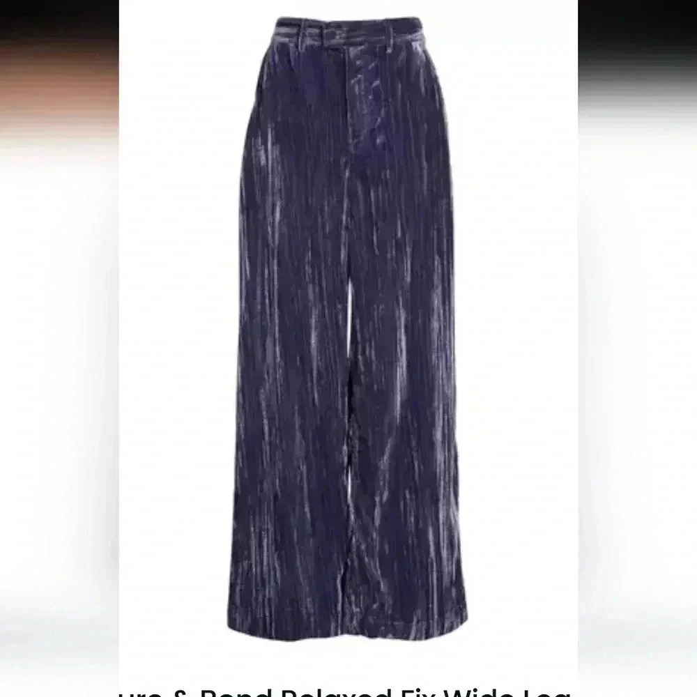 Treasure & Bond relaxed fit wide leg plisse velvet pants nwot size 4